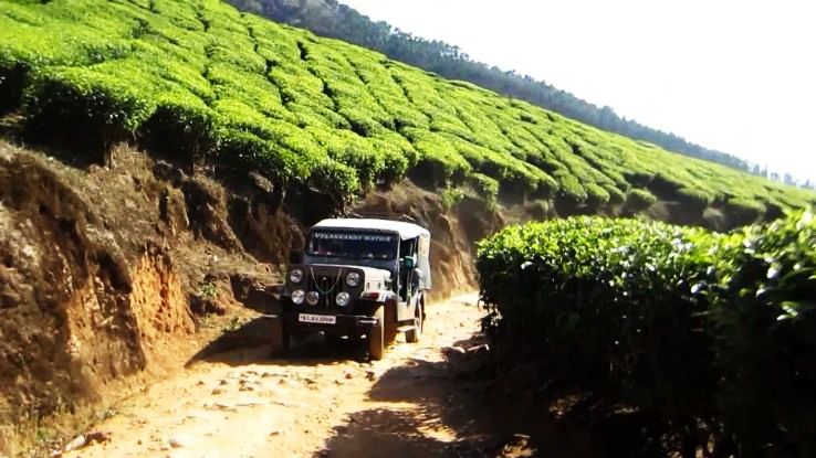 2. Kolukkumalai Tea Estate